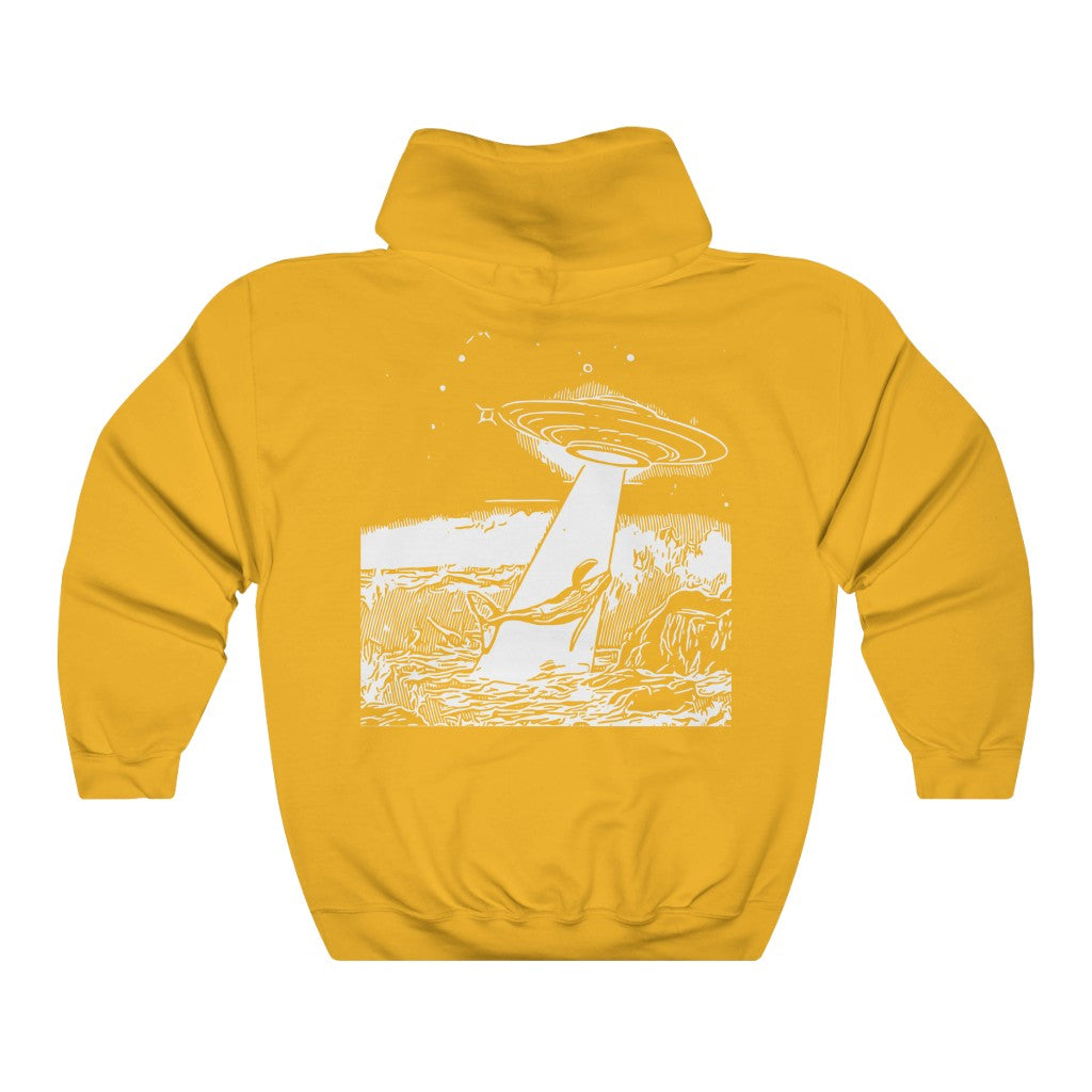 IWANT2BELIEVE - HOODIE
